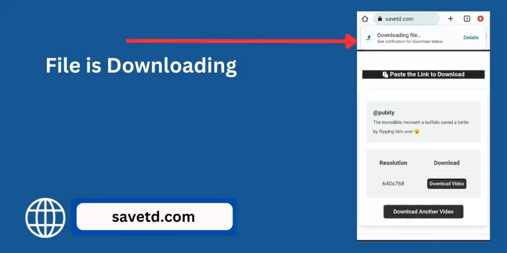How to Download Thread Videos Step 8
